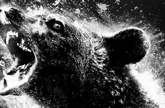 Действительно ли фильм «Кокаиновый медведь» основан на реальной истории