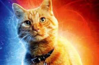 Продюсер «Капитана Марвел 2» рассказала о расширенной роли Гуси в сиквеле MCU