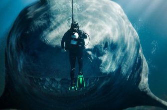 Сборы фильма «Мег 2: Впадина» оказались слабыми - Стэйтем и Джеки Ву не помогли